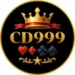 CD999 Game